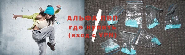 СК Каменногорск