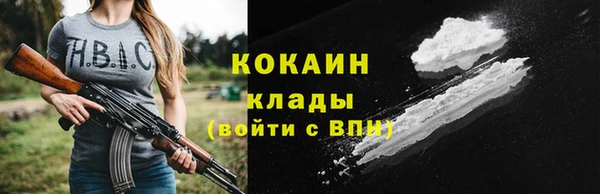 МДПВ Каменка