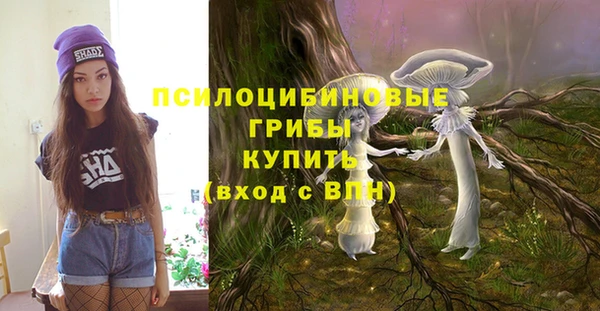 прущий лед Касимов