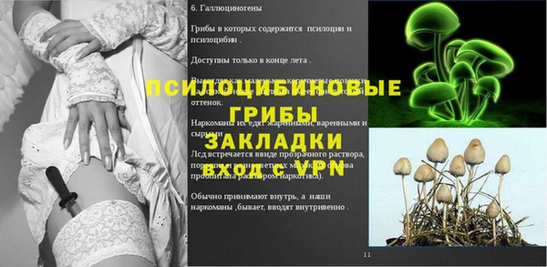 МДПВ Каменка