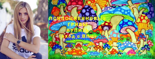 крисы Каменск-Шахтинский